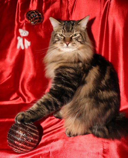 48426059_784504671902129_7134616534709698560_n