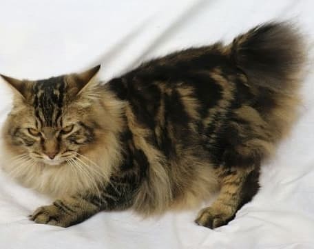 53676951_406324646612620_7254309349034557440_n